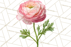 Soft Pastel Spring Floral Clipart, Pink Roses Tulips Png Product Image 2
