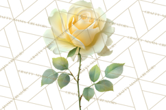 Soft Pastel Spring Floral Clipart, Pink Roses Tulips Png Product Image 2