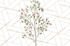 Soft Pastel Spring Floral Clipart, Pink Roses Tulips Png Product Image 5