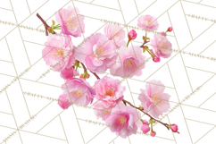 Soft Pastel Spring Floral Clipart, Pink Roses Tulips Png Product Image 3