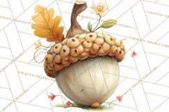 Woodland Animals Clipart, Cute Forest Animals, Foxes Png Product Image 3