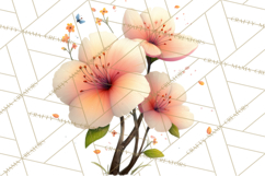 Woodland Animals Clipart, Cute Forest Animals, Foxes Png Product Image 5