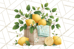 Spring Farmer’s Market Minis Clipart, Rustic Spring Png Product Image 5
