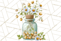 Spring Farmer’s Market Minis Clipart, Rustic Spring Png Product Image 3