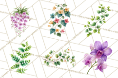 Jungle Plants Clipart, Tropical Leaves PNG, Watercolor Ferns Product Image 4