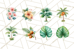 Jungle Plants Clipart, Tropical Leaves PNG, Watercolor Ferns Product Image 7