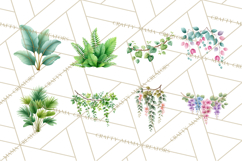 Jungle Plants Clipart, Tropical Leaves PNG, Watercolor Ferns Product Image 2