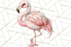 Safari Clipart African Animals Watercolor PNG Product Image 2