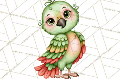 Safari Clipart African Animals Watercolor PNG Product Image 4