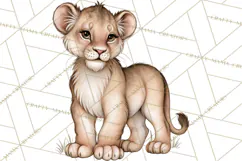 Safari Clipart African Animals Watercolor PNG Product Image 2