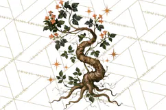 Vintage Witch Apothecary Clipart PNG, Halloween Magic Product Image 4