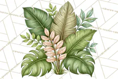 Safari Clipart African Animals Watercolor PNG Product Image 5