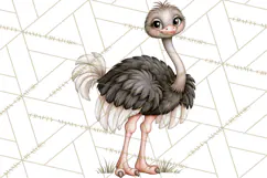 Safari Clipart African Animals Watercolor PNG Product Image 3