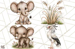 Safari Clipart African Animals Watercolor PNG Product Image 1