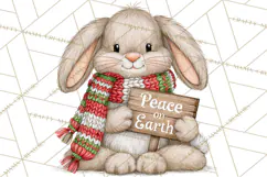 Christmas Animal Clipart PNG, Festive Animals Sign Clip Art Product Image 5