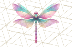 Butterfly Clipart, Dragonfly Clip Art PNG, Pastel Spring Product Image 3