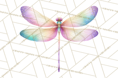 Butterfly Clipart, Dragonfly Clip Art PNG, Pastel Spring Product Image 4