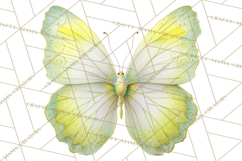 Butterfly Clipart, Dragonfly Clip Art PNG, Pastel Spring Product Image 4