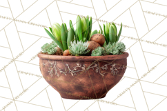 Early Spring Garden Cottagecore PNG, Seedling Terracotta Product Image 4
