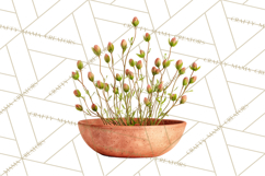 Early Spring Garden Cottagecore PNG, Seedling Terracotta Product Image 2