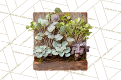 Early Spring Garden Cottagecore PNG, Seedling Terracotta Product Image 4