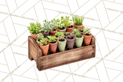 Early Spring Garden Cottagecore PNG, Seedling Terracotta Product Image 2