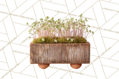 Early Spring Garden Cottagecore PNG, Seedling Terracotta Product Image 4