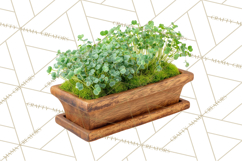 Early Spring Garden Cottagecore PNG, Seedling Terracotta Product Image 5