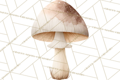 Soft Woodland Baby Clipart, Neutral Baby Shower PNG Product Image 2
