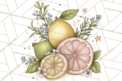 Citrus Kitchen Cottagecore PNG, Rustic Citrus Clipart, Lemon Product Image 4