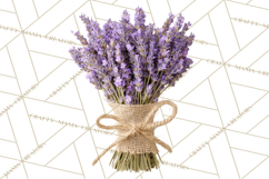 Herbal Apothecary Cottagecore PNG, Rustic Botanical Clipart Product Image 5