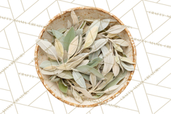 Herbal Apothecary Cottagecore PNG, Rustic Botanical Clipart Product Image 4