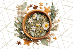 Herbal Apothecary Cottagecore PNG, Rustic Botanical Clipart Product Image 4