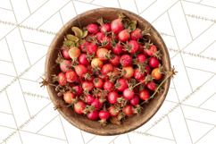 Herbal Apothecary Cottagecore PNG, Rustic Botanical Clipart Product Image 3