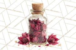 Herbal Apothecary Cottagecore PNG, Rustic Botanical Clipart Product Image 4