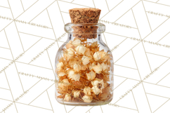 Herbal Apothecary Cottagecore PNG, Rustic Botanical Clipart Product Image 5