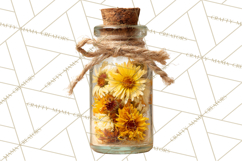 Herbal Apothecary Cottagecore PNG, Rustic Botanical Clipart Product Image 2