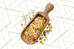 Herbal Apothecary Cottagecore PNG, Rustic Botanical Clipart Product Image 3