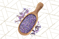 Herbal Apothecary Cottagecore PNG, Rustic Botanical Clipart Product Image 4