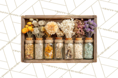 Herbal Apothecary Cottagecore PNG, Rustic Botanical Clipart Product Image 3