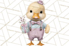 Easter Duckling Clipart, Cute Ducklings in Fancy Outfits Png Product Image 5