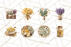 Herbal Apothecary Cottagecore PNG, Rustic Botanical Clipart Product Image 5