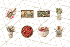 Herbal Apothecary Cottagecore PNG, Rustic Botanical Clipart Product Image 2