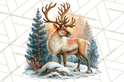Scandinavian Christmas Market Clipart PNG Illustrations Product Image 4