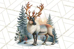 Scandinavian Christmas Market Clipart PNG Illustrations Product Image 5