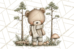 Pacific Northwest Teddy Bear Woodland Clipart Product Image 4