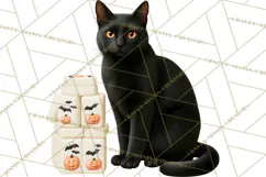 Halloween Mahjong Clipart, Spooky Mahjong Tiles PNG, Gothic Product Image 4