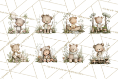 Pacific Northwest Teddy Bear Woodland Clipart Product Image 8