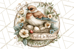 Backyard Bird Feeder Nature Clipart Product Image 2