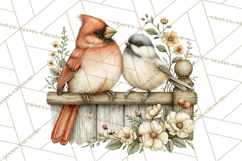 Backyard Bird Feeder Nature Clipart Product Image 5